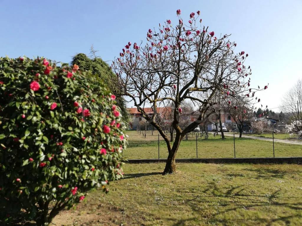 immagine annuncio 10 di 15