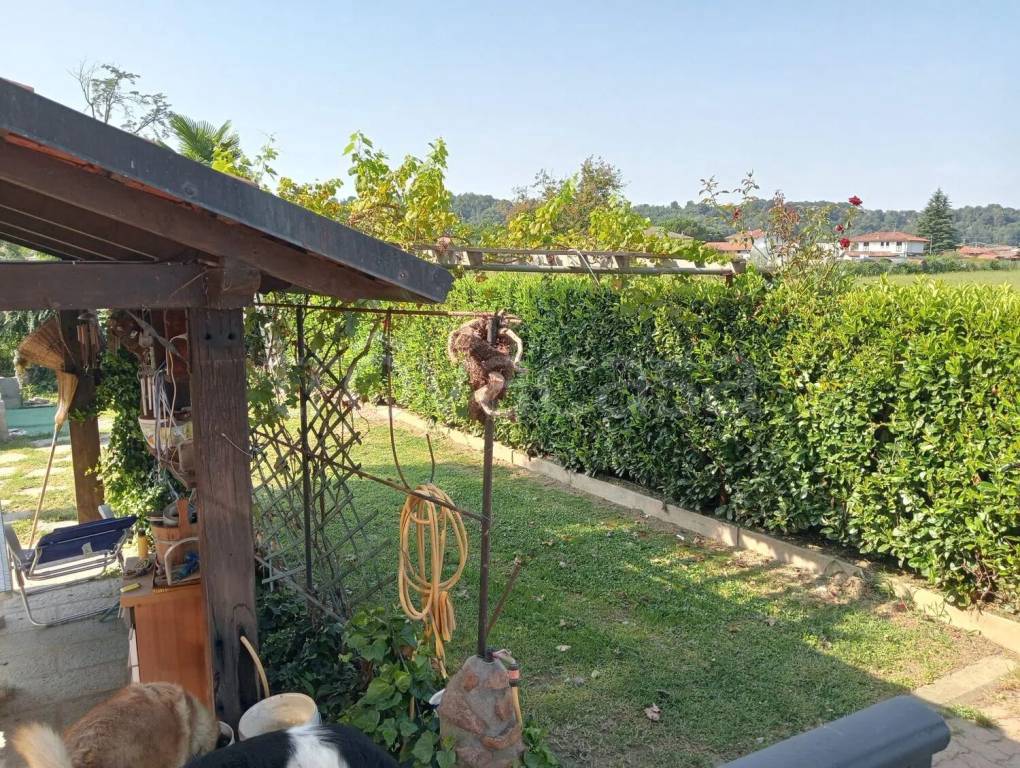 immagine annuncio 4 di 15