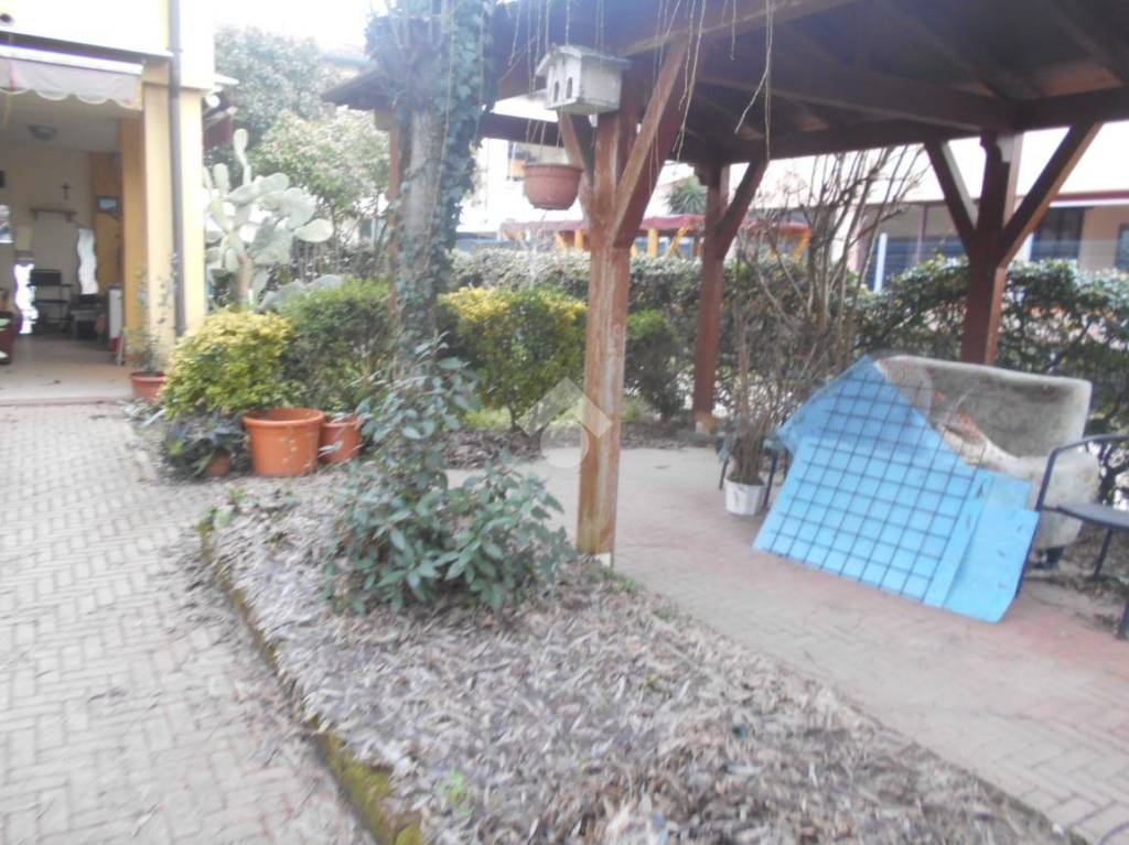 immagine annuncio 7 di 15