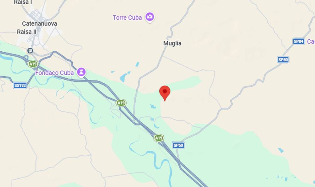 immagine annuncio 3 di 11