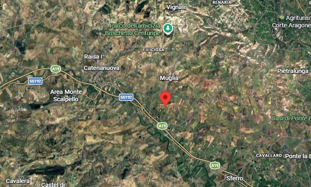 immagine annuncio 5 di 11