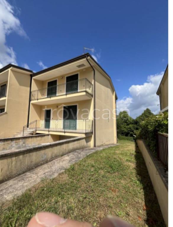 immagine annuncio 3 di 14