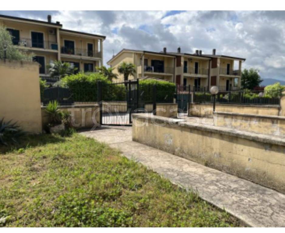 immagine annuncio 4 di 14