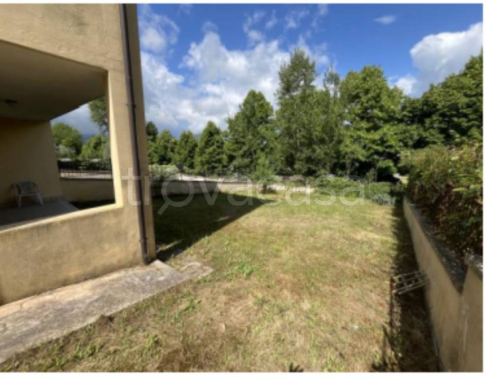 immagine annuncio 5 di 14