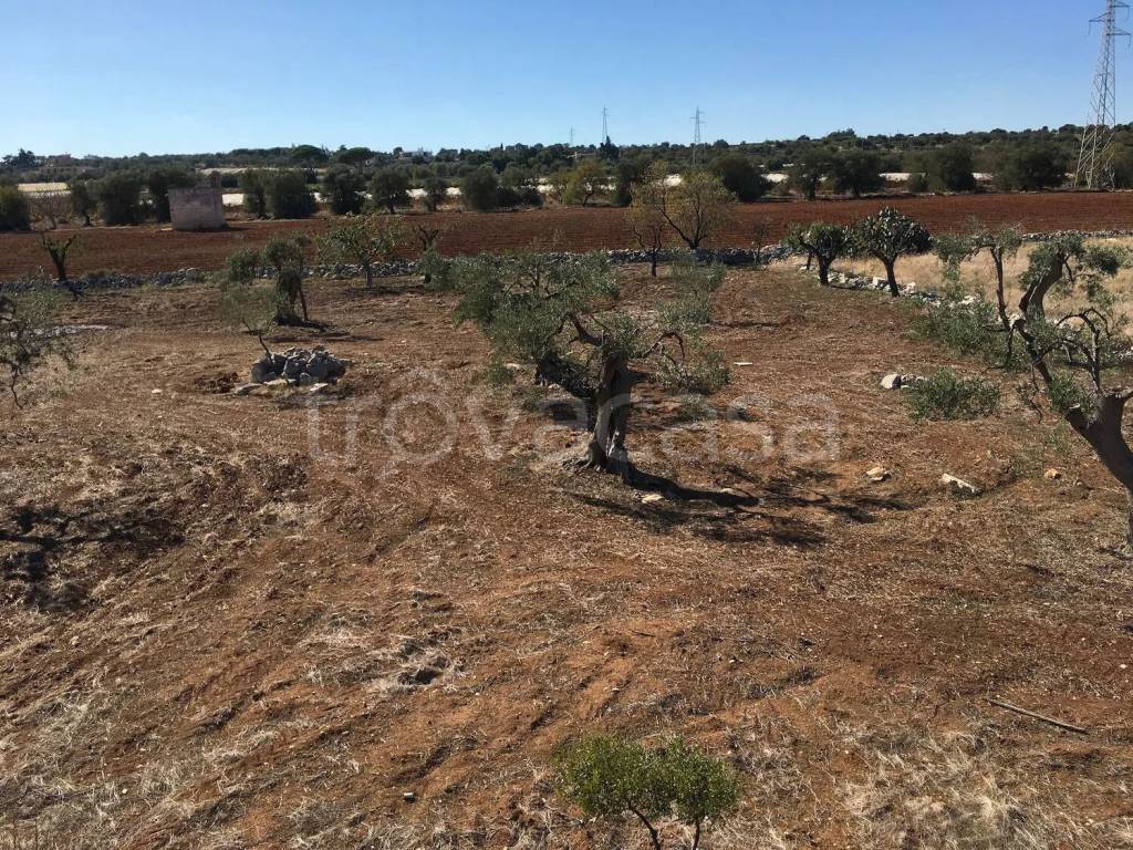 immagine annuncio 9 di 12