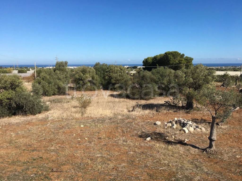 immagine annuncio 10 di 12