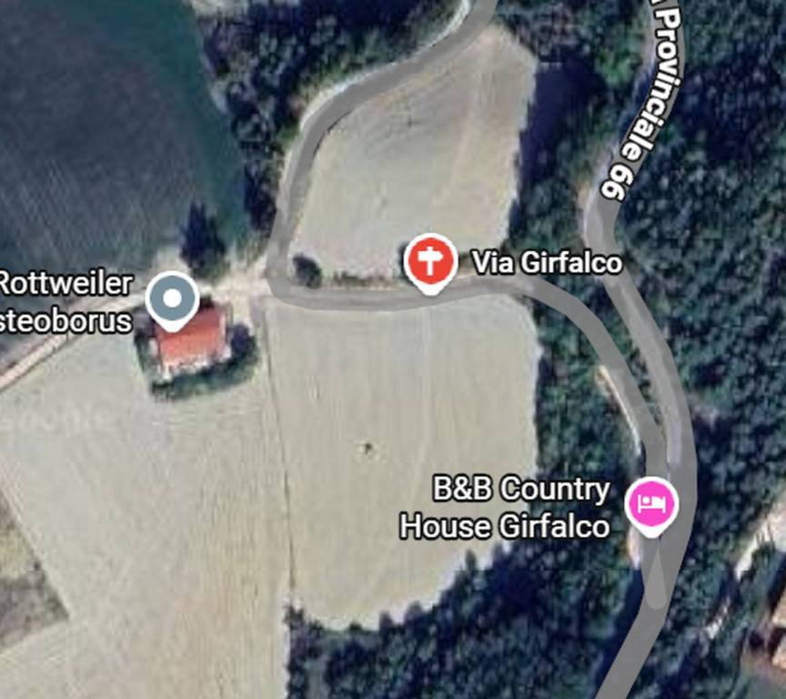 immagine annuncio 6 di 12