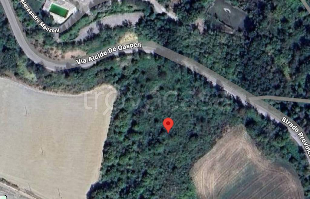 immagine annuncio 2 di 11