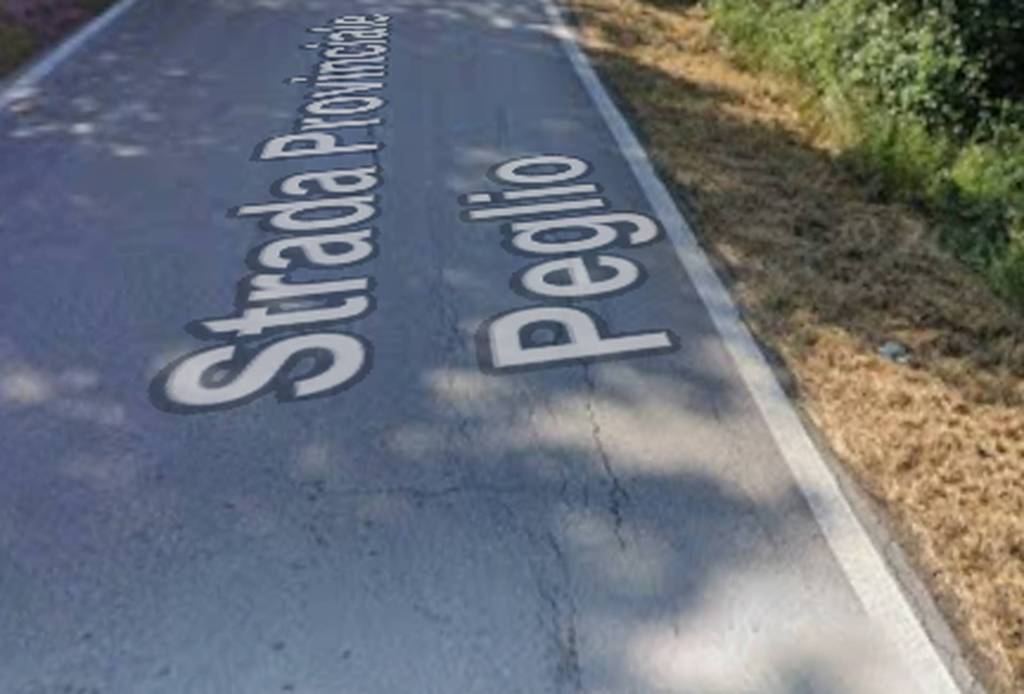 immagine annuncio 9 di 11