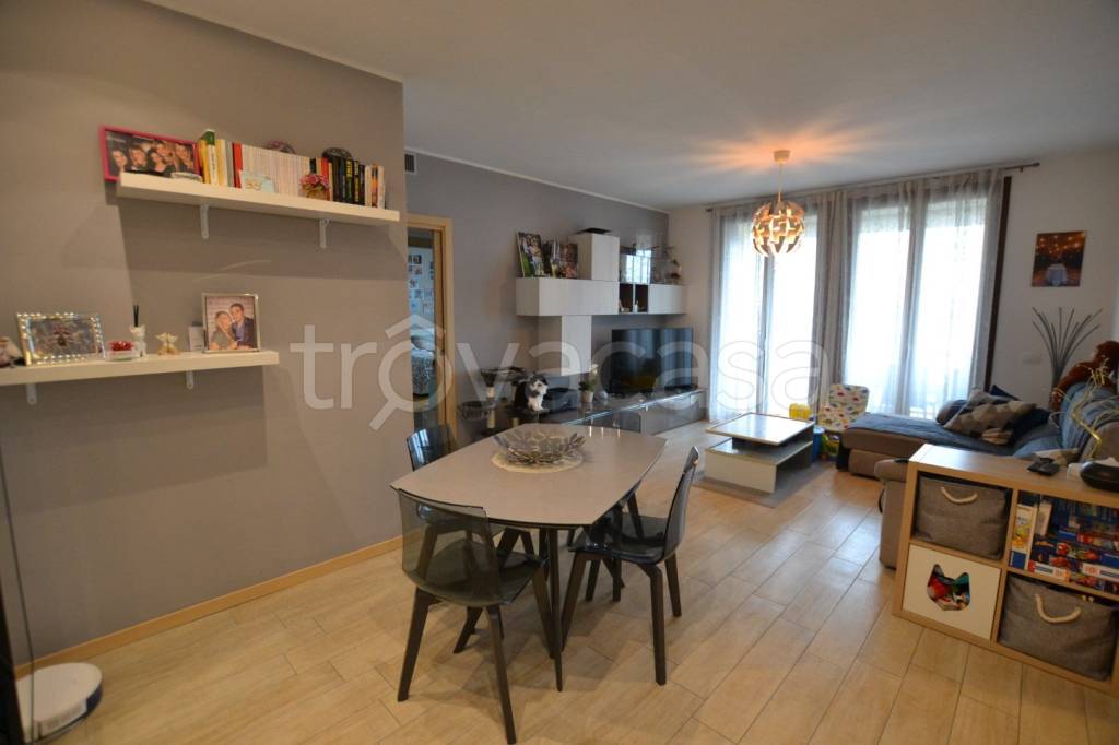 immagine annuncio 2 di 15