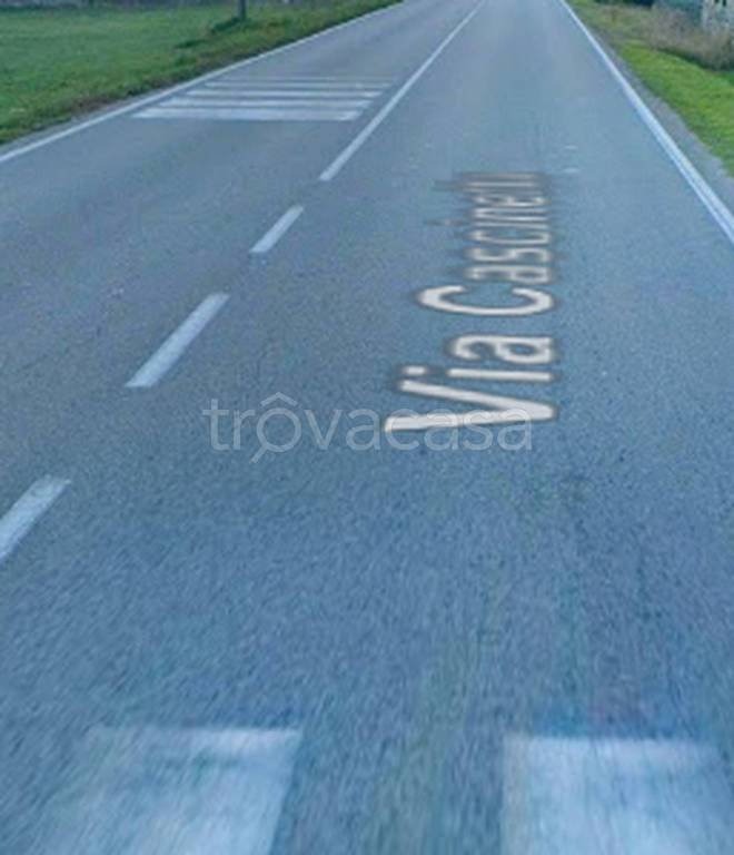 immagine annuncio 8 di 11