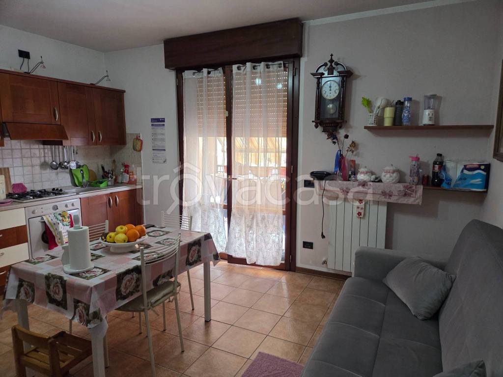 immagine annuncio 7 di 15