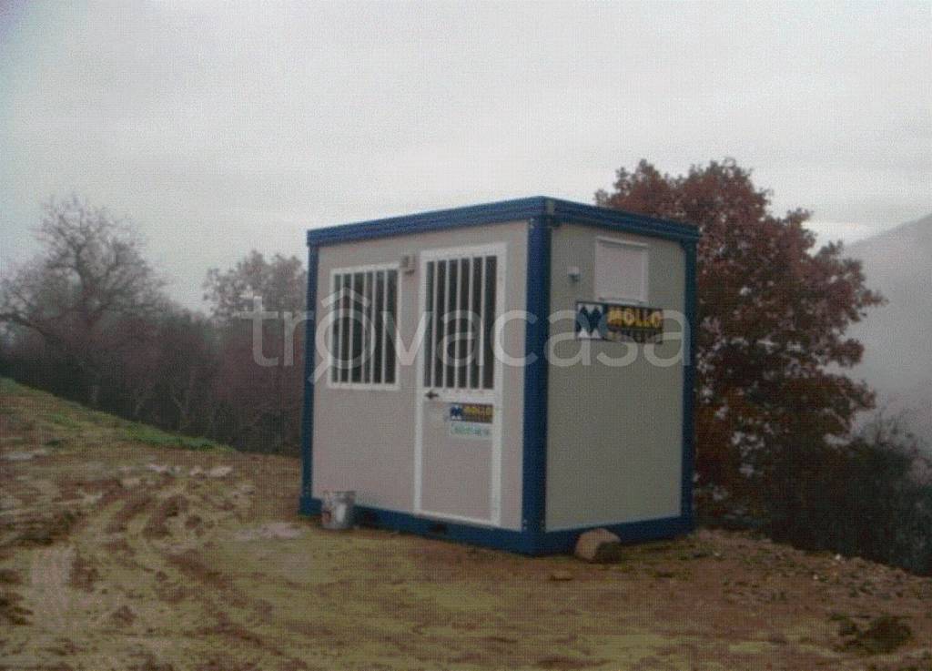 immagine annuncio 5 di 12