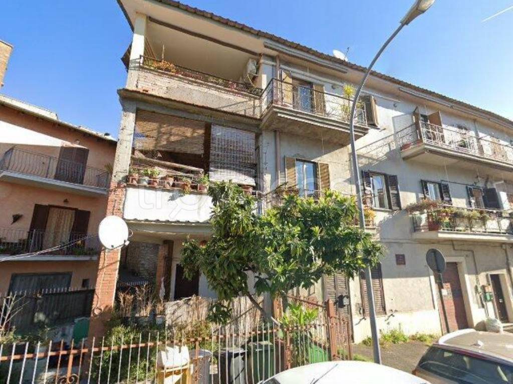 immagine annuncio 12 di 13