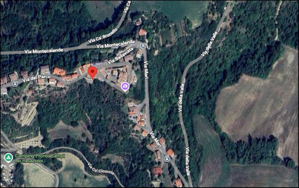 immagine annuncio 11 di 12