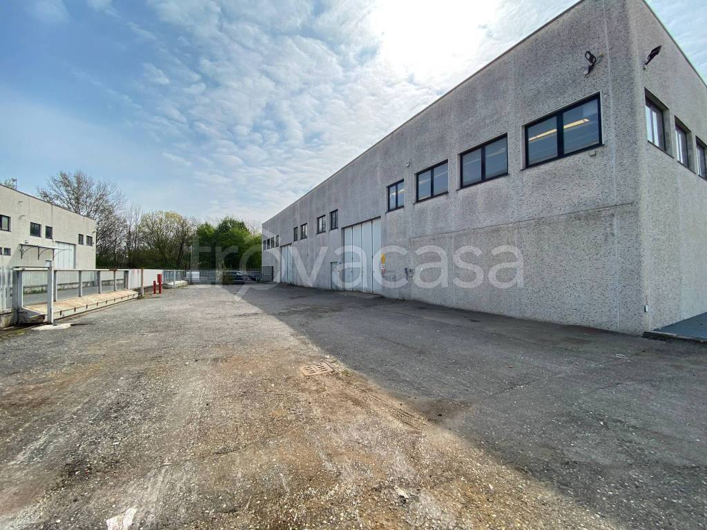 immagine annuncio 1 di 15