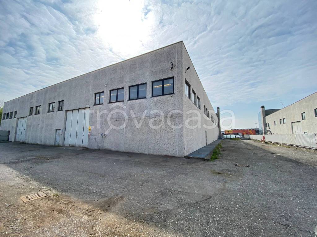 immagine annuncio 2 di 15