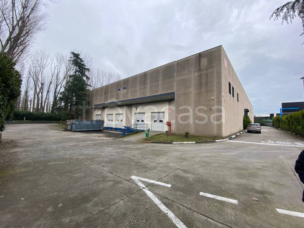 immagine annuncio 7 di 15