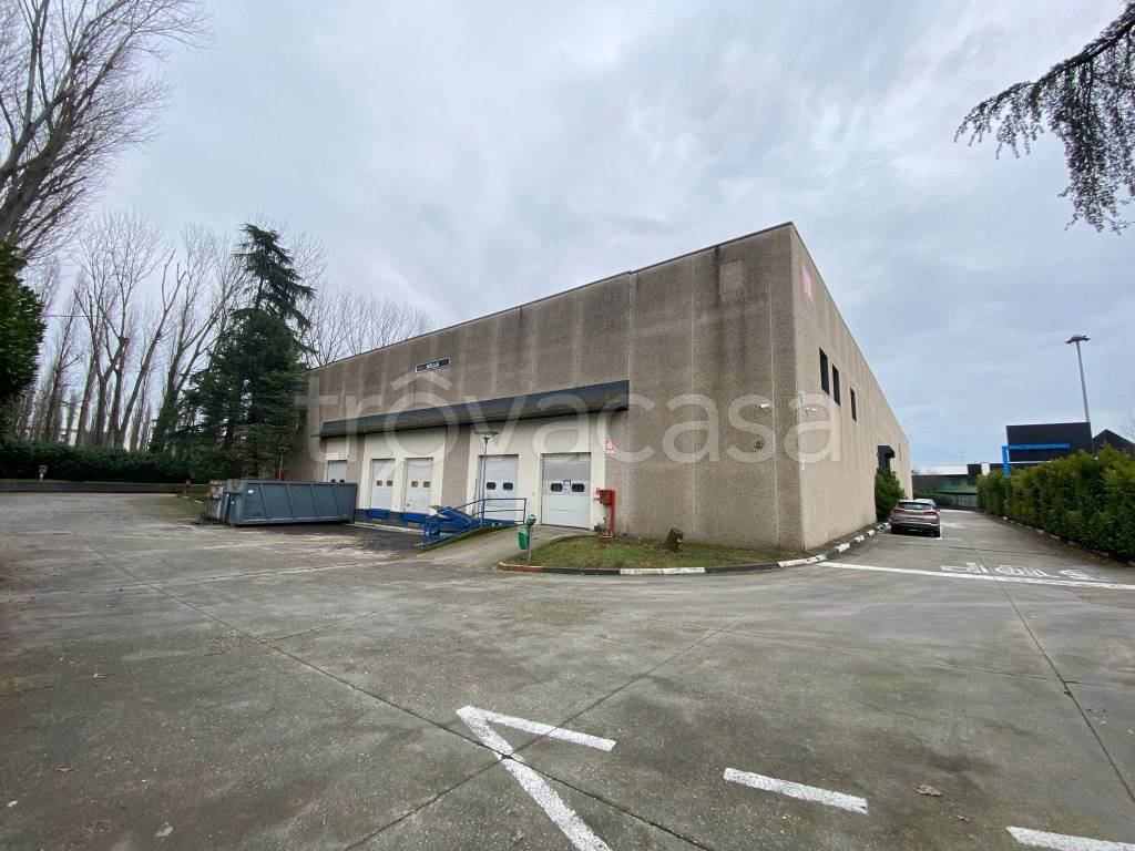 immagine annuncio 9 di 15