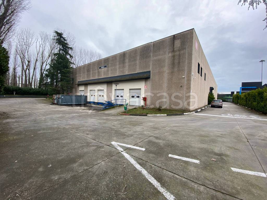 immagine annuncio 10 di 15