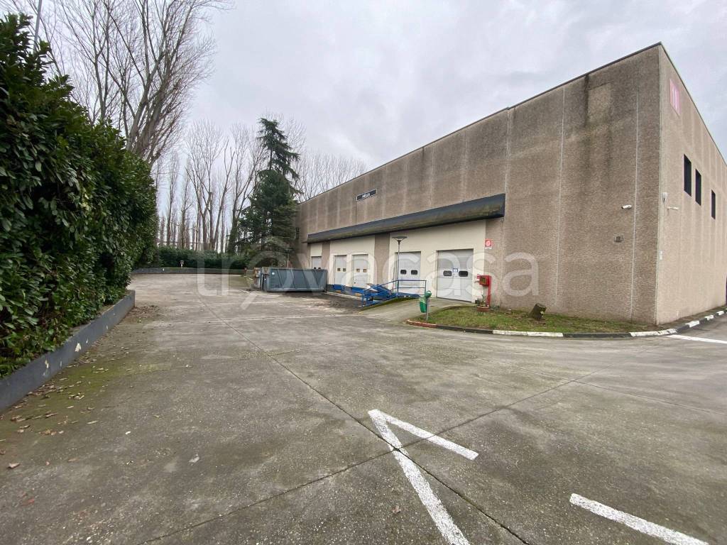 immagine annuncio 11 di 15