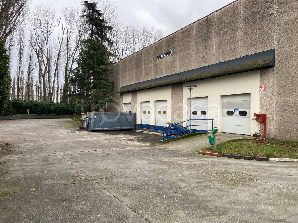 immagine annuncio 12 di 15