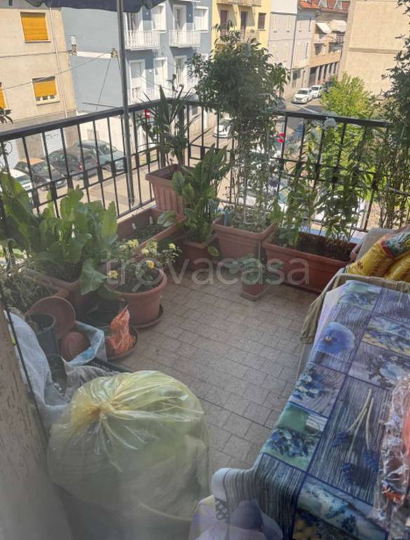 immagine annuncio 7 di 12