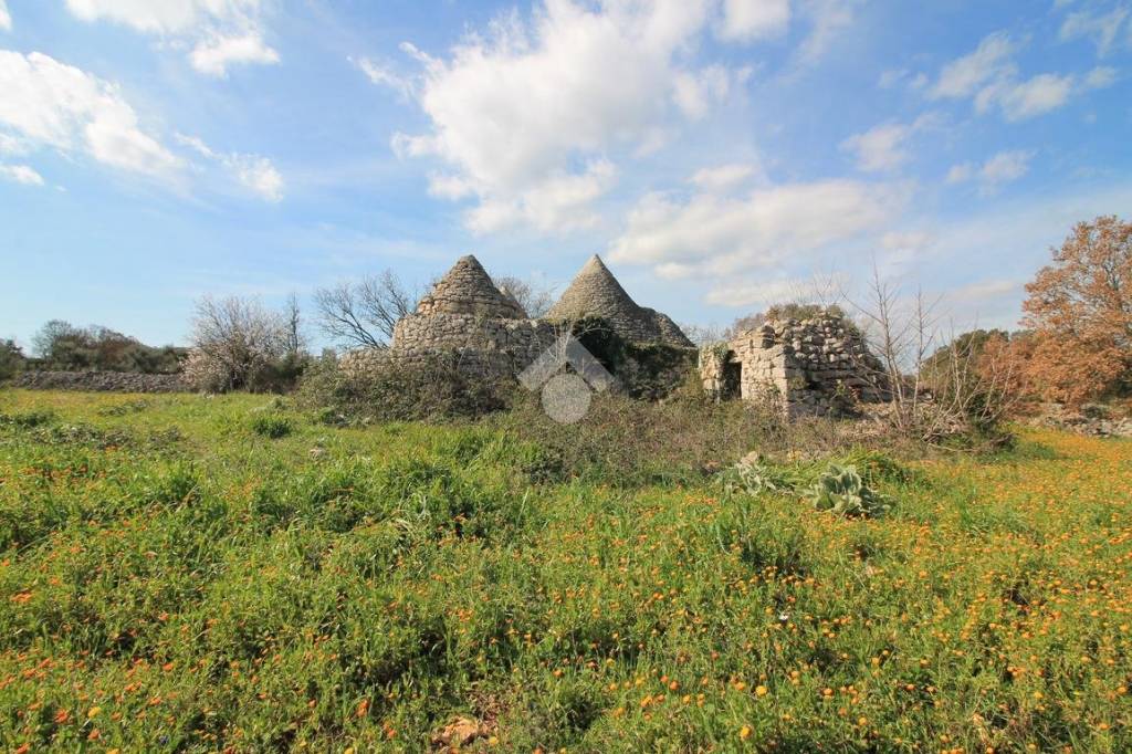 immagine annuncio 2 di 12