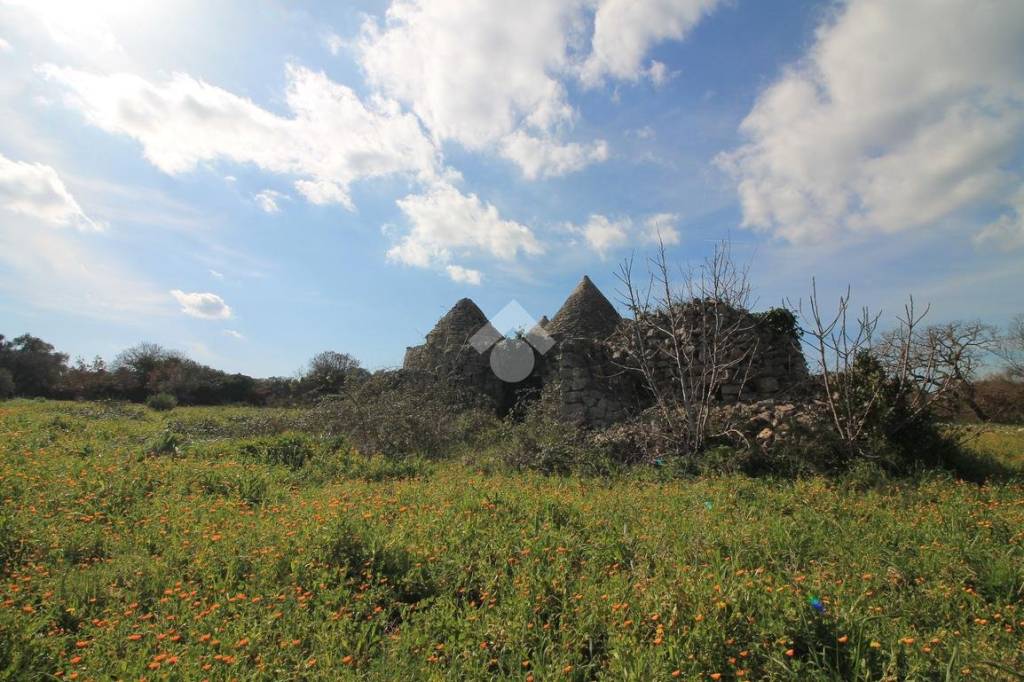 immagine annuncio 4 di 12