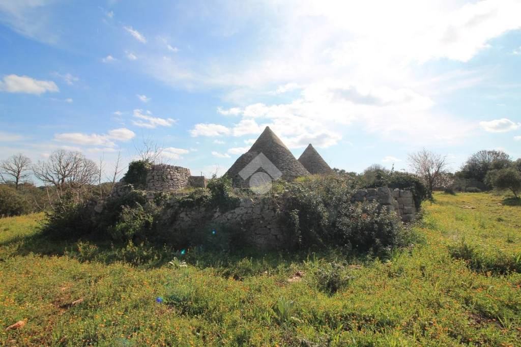 immagine annuncio 5 di 12