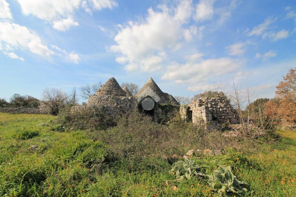 immagine annuncio 6 di 12