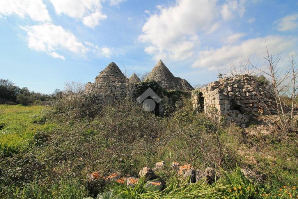 immagine annuncio 3 di 12