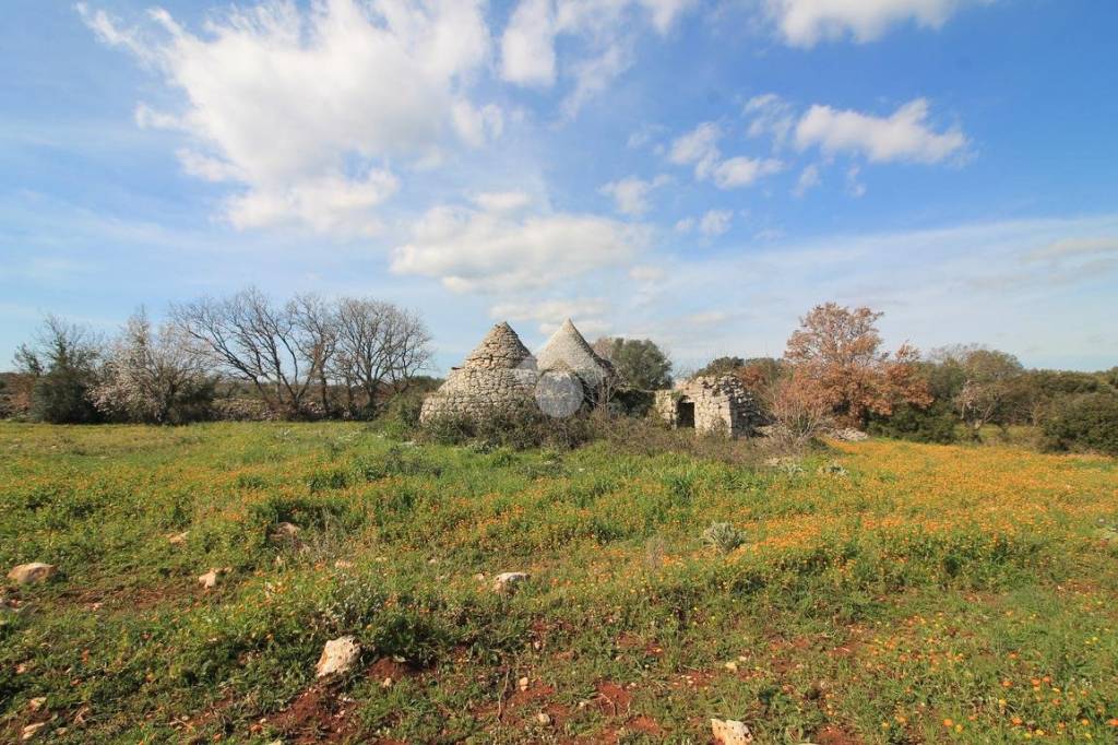 immagine annuncio 9 di 12