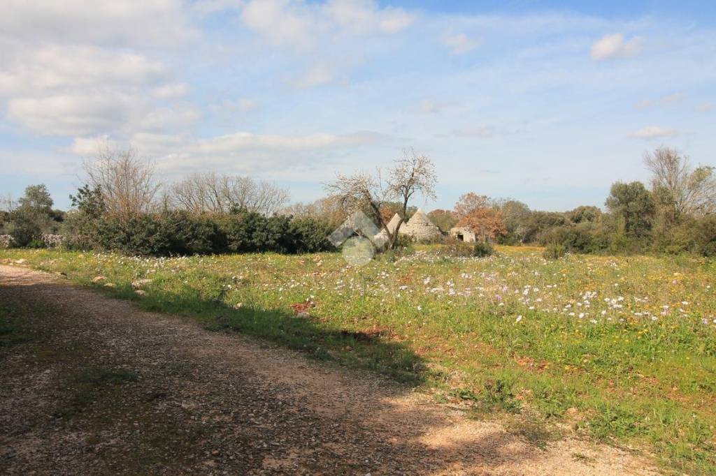 immagine annuncio 10 di 12