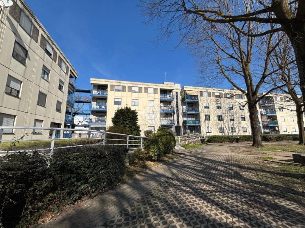 immagine annuncio 1 di 15