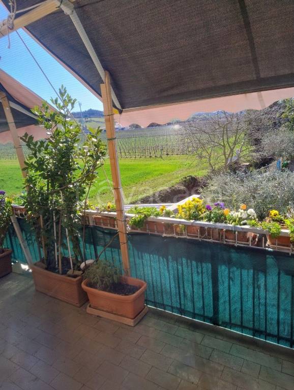 immagine annuncio 1 di 14