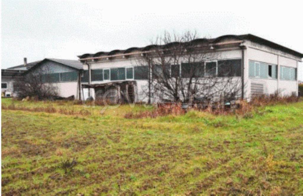 immagine annuncio 5 di 11