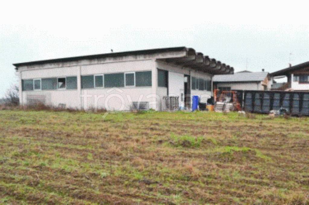 immagine annuncio 6 di 11