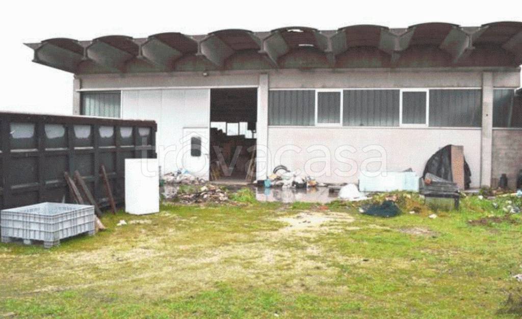 immagine annuncio 7 di 11