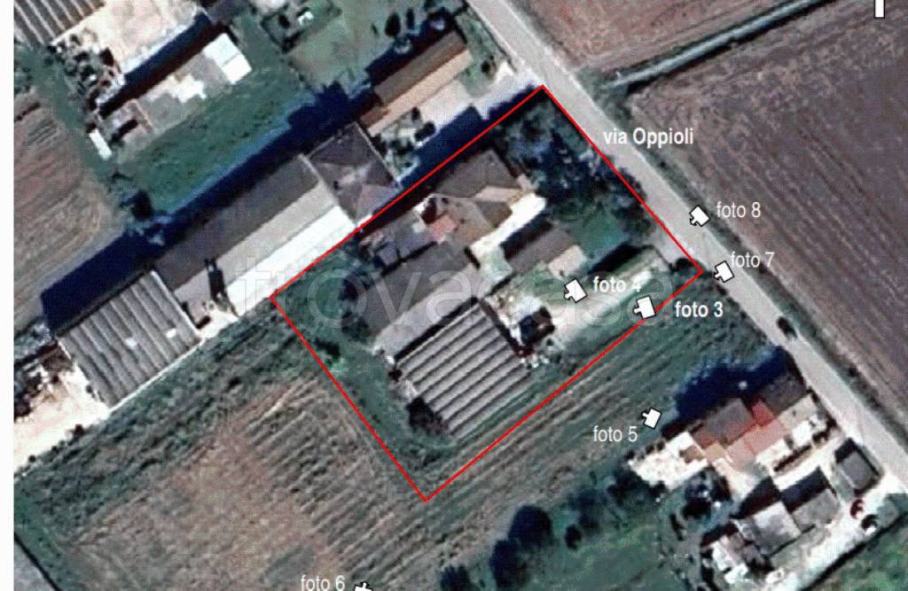 immagine annuncio 9 di 11