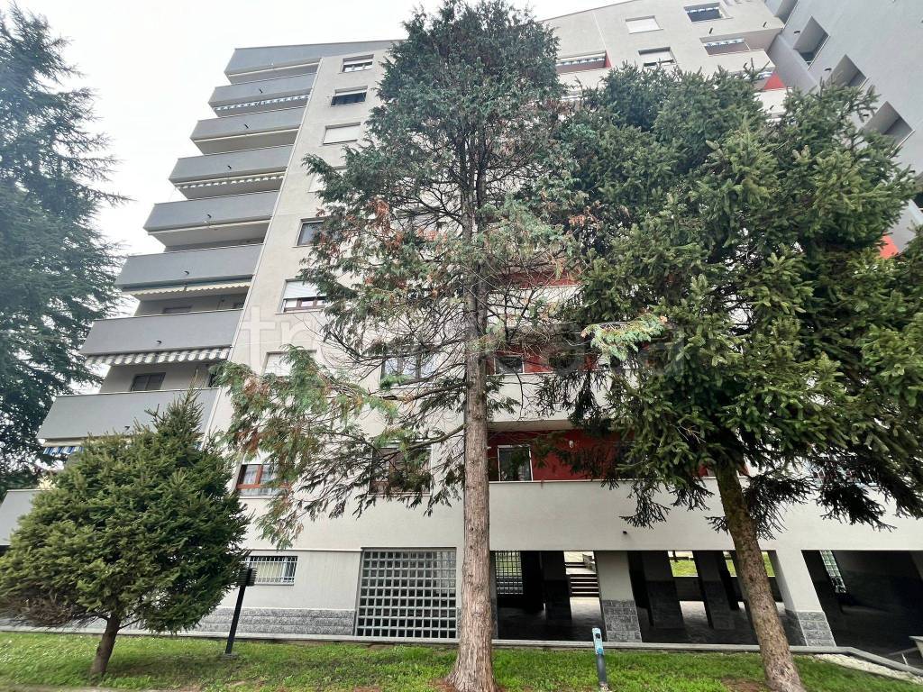 immagine annuncio 4 di 15