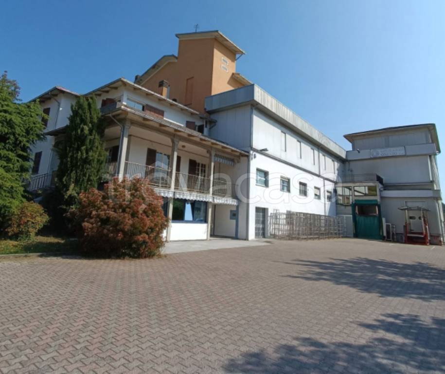 immagine annuncio 3 di 11