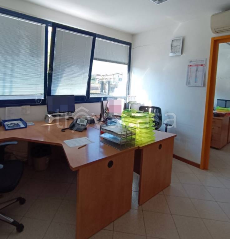 immagine annuncio 5 di 11