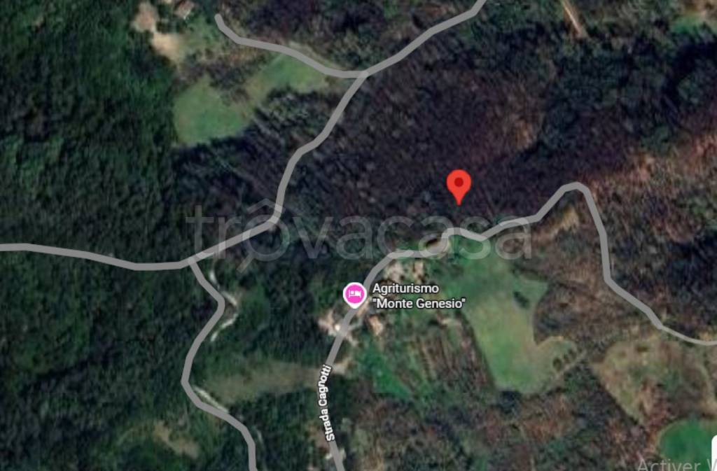 immagine annuncio 4 di 11