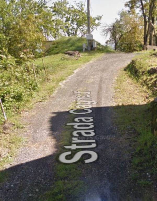 immagine annuncio 8 di 11