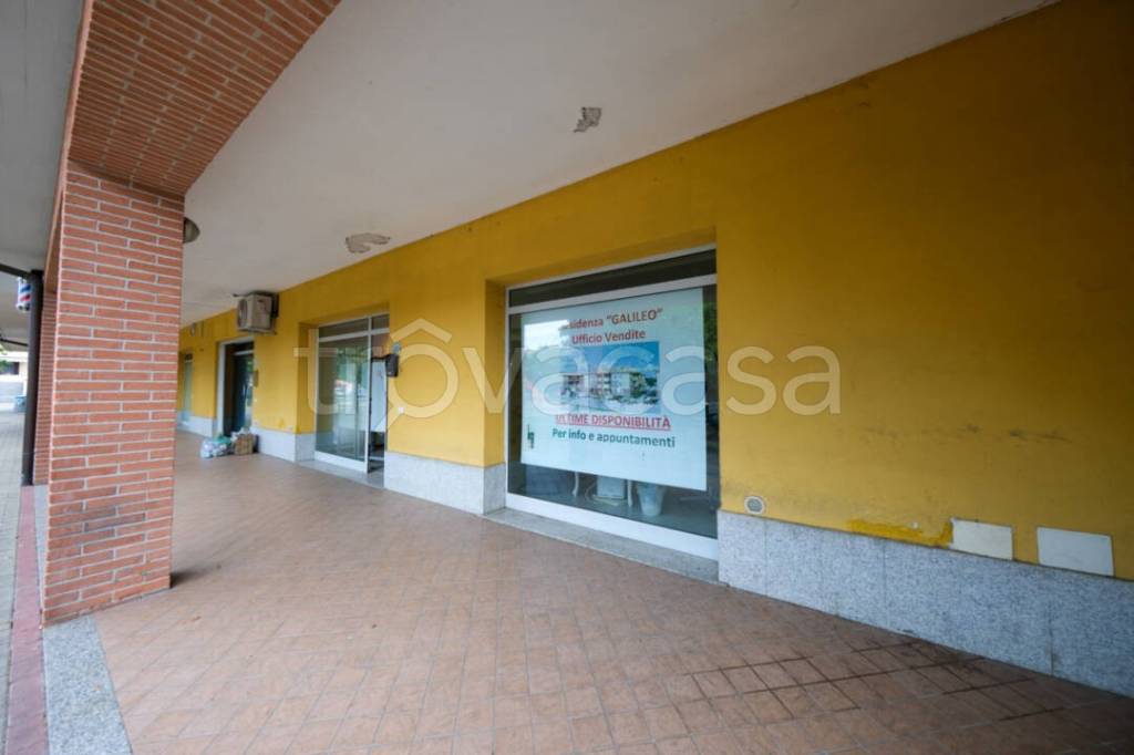 immagine annuncio 5 di 9