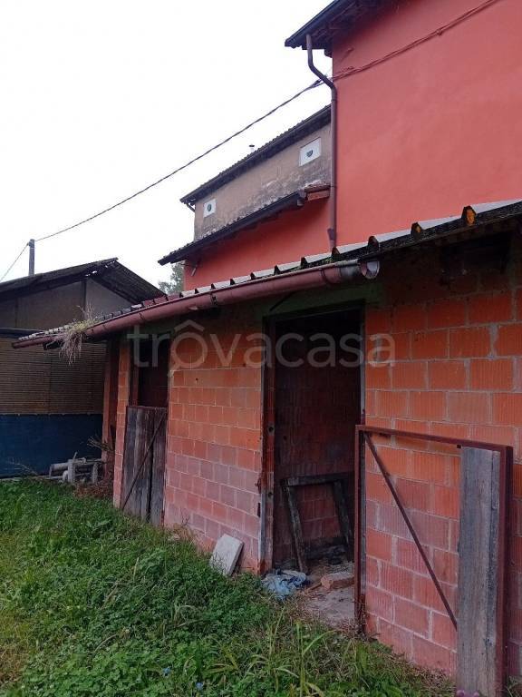 immagine annuncio 2 di 6