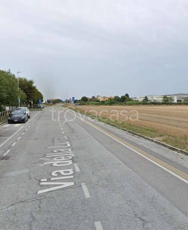 immagine annuncio 6 di 8