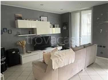 immagine annuncio 3 di 14