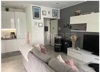 immagine annuncio 5 di 14